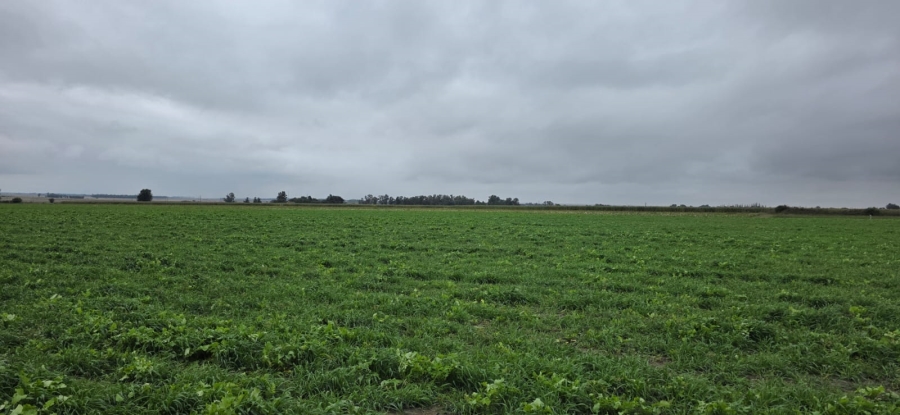 Commercial Property for Sale in Klerksdorp Rural North West